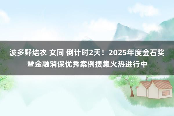 波多野结衣 女同 倒计时2天！2025年度金石奖暨金融消保优秀案例搜集火热进行中