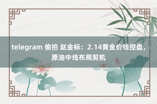 telegram 偷拍 赵金标：2.14黄金价钱控盘，原油中线布局契机