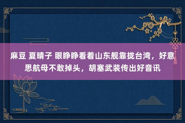 麻豆 夏晴子 眼睁睁看着山东舰靠拢台湾，好意思航母不敢掉头，胡塞武装传出好音讯