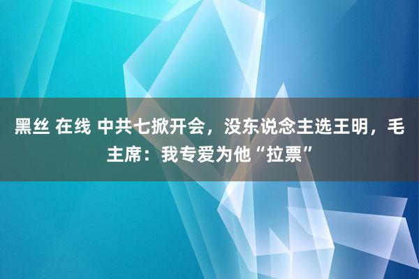 黑丝 在线 中共七掀开会，没东说念主选王明，毛主席：我专爱为他“拉票”