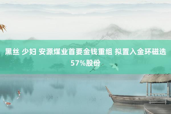 黑丝 少妇 安源煤业首要金钱重组 拟置入金环磁选57%股份