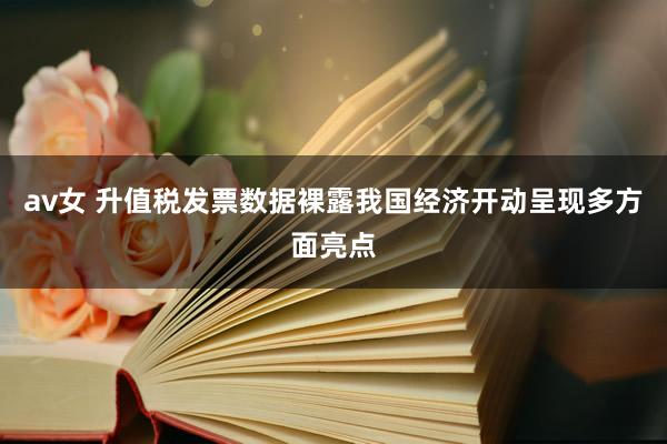 av女 升值税发票数据裸露我国经济开动呈现多方面亮点