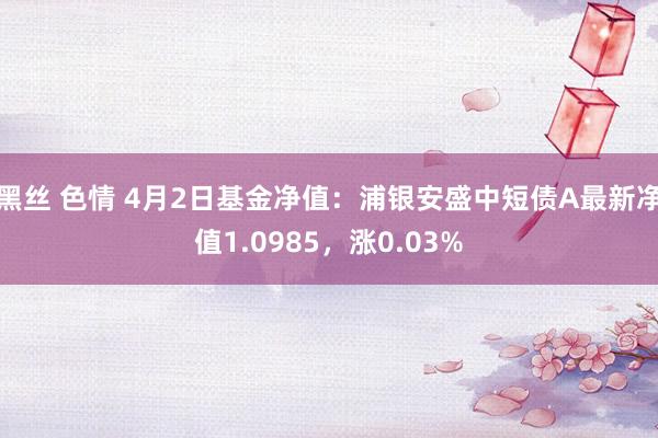 黑丝 色情 4月2日基金净值：浦银安盛中短债A最新净值1.0985，涨0.03%