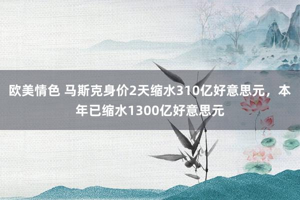 欧美情色 马斯克身价2天缩水310亿好意思元，本年已缩水1300亿好意思元