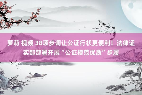 萝莉 视频 38项步调让公证行状更便利！法律证实部部署开展“公证模范优质”步履
