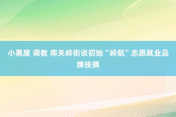 小黑屋 调教 南关岭街谈初始“岭航”志愿就业品牌技俩