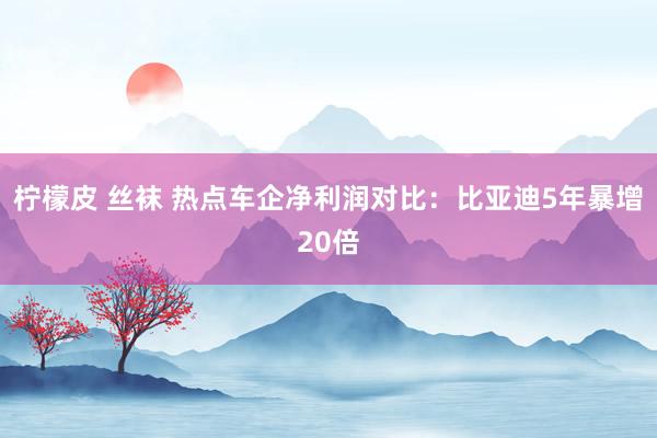 柠檬皮 丝袜 热点车企净利润对比：比亚迪5年暴增20倍