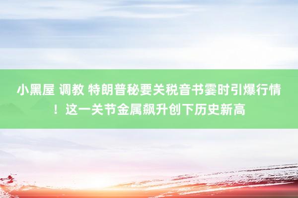 小黑屋 调教 特朗普秘要关税音书霎时引爆行情！这一关节金属飙升创下历史新高