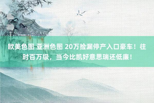 欧美色图 亚洲色图 20万捡漏停产入口豪车！往时百万级，当今比凯好意思瑞还低廉！