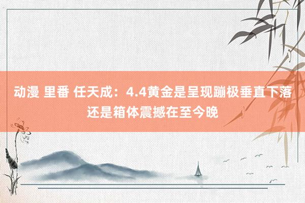 动漫 里番 任天成：4.4黄金是呈现蹦极垂直下落还是箱体震撼在至今晚