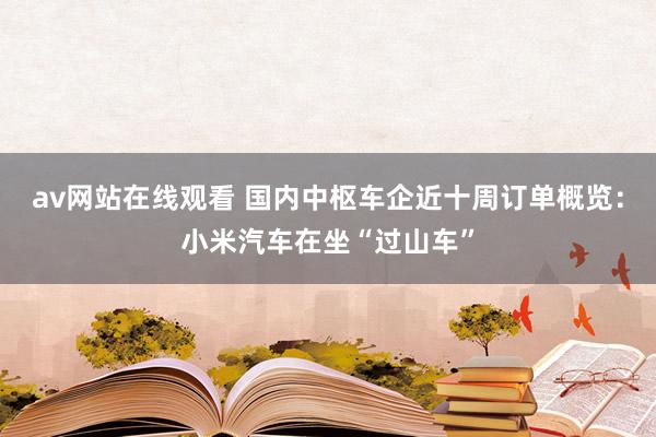 av网站在线观看 国内中枢车企近十周订单概览：小米汽车在坐“过山车”