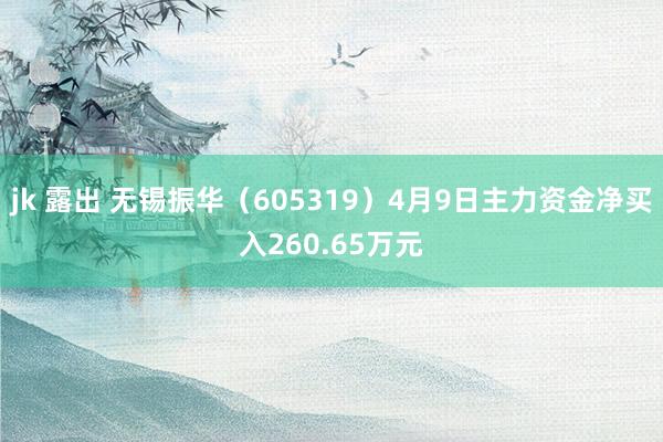 jk 露出 无锡振华（605319）4月9日主力资金净买入260.65万元
