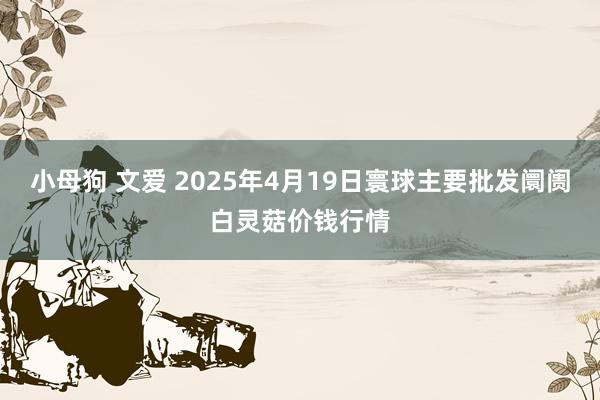 小母狗 文爱 2025年4月19日寰球主要批发阛阓白灵菇价钱行情