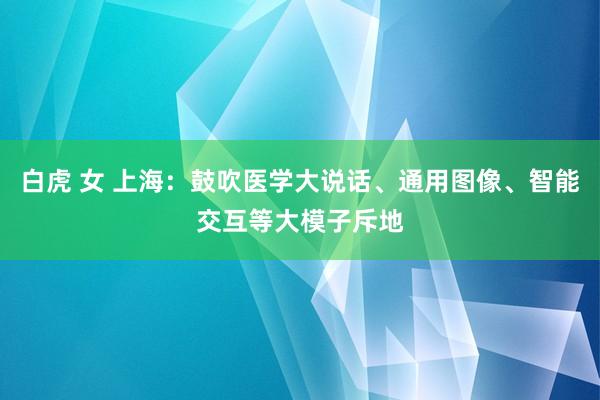 白虎 女 上海：鼓吹医学大说话、通用图像、智能交互等大模子斥地