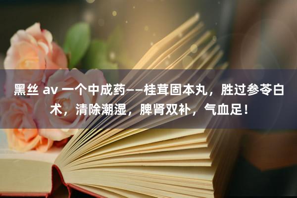 黑丝 av 一个中成药——桂茸固本丸，胜过参苓白术，清除潮湿，脾肾双补，气血足！