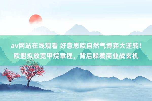 av网站在线观看 好意思欧自然气博弈大逆转！欧盟拟放宽甲烷章程，背后躲藏商业战玄机