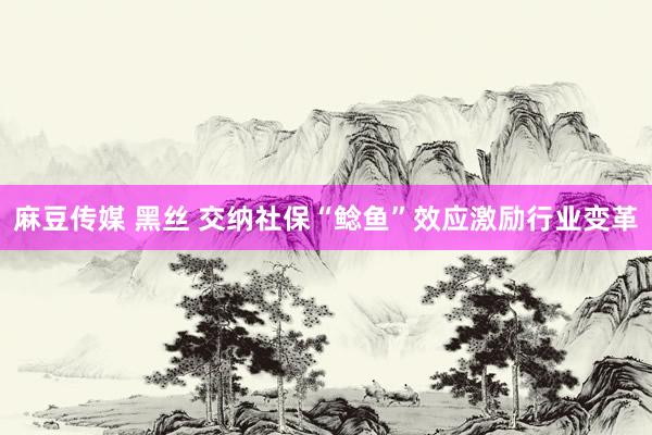 麻豆传媒 黑丝 交纳社保“鲶鱼”效应激励行业变革