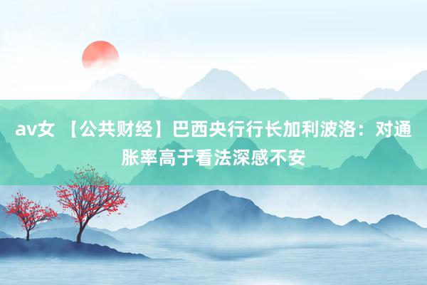 av女 【公共财经】巴西央行行长加利波洛：对通胀率高于看法深感不安