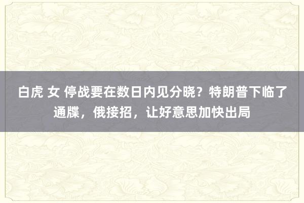 白虎 女 停战要在数日内见分晓？特朗普下临了通牒，俄接招，让好意思加快出局