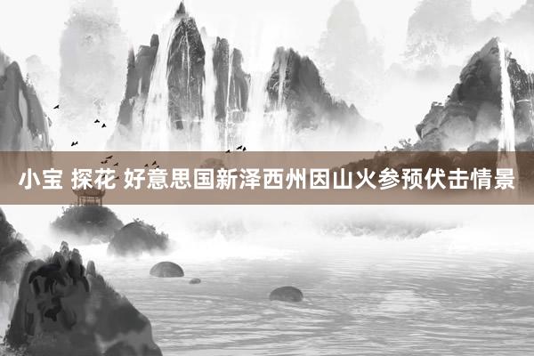 小宝 探花 好意思国新泽西州因山火参预伏击情景